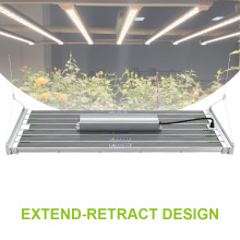 LED 1000W LED CRESCIO LUCE PER 6X4 TEND