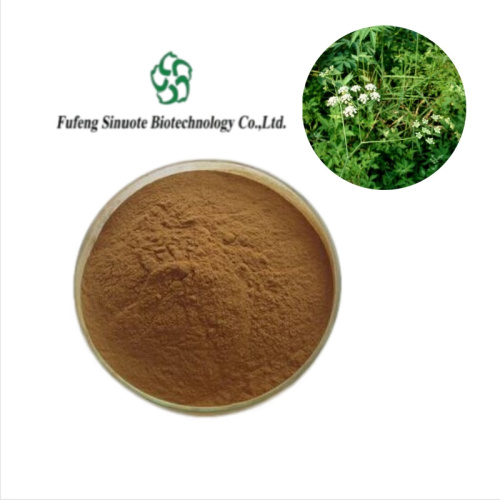 Premium Caraway Seed Extract for Digestive Wellness and Flavor