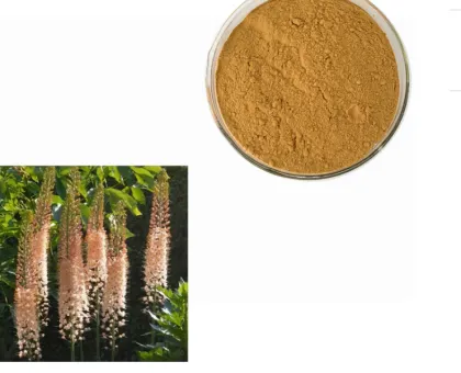 Natural plant extract animal feed Moringa seed Powder