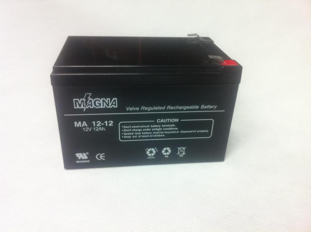 12V VRLA AGM Batteries