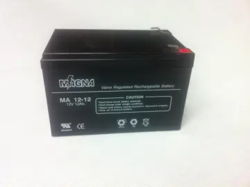 12V 12AhVRLA AGM/SLA Batteries