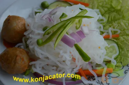 halal snack foods instant ramen noodles halal konjac noodles