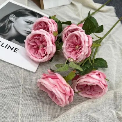 Hot Sale Wholesale Artificial Austin Roses for Wedding Decoration