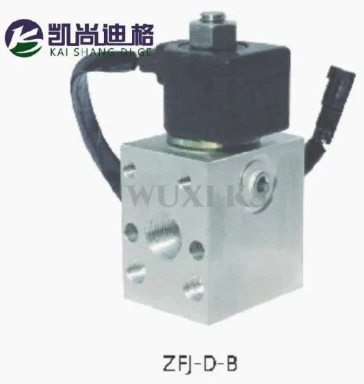 Zfj-D-B Multifunctional Solenoid Valves Ks-W0731