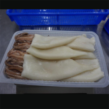 Frozen Squid Tubes And Tentacles Todarodes Pacificus T+T