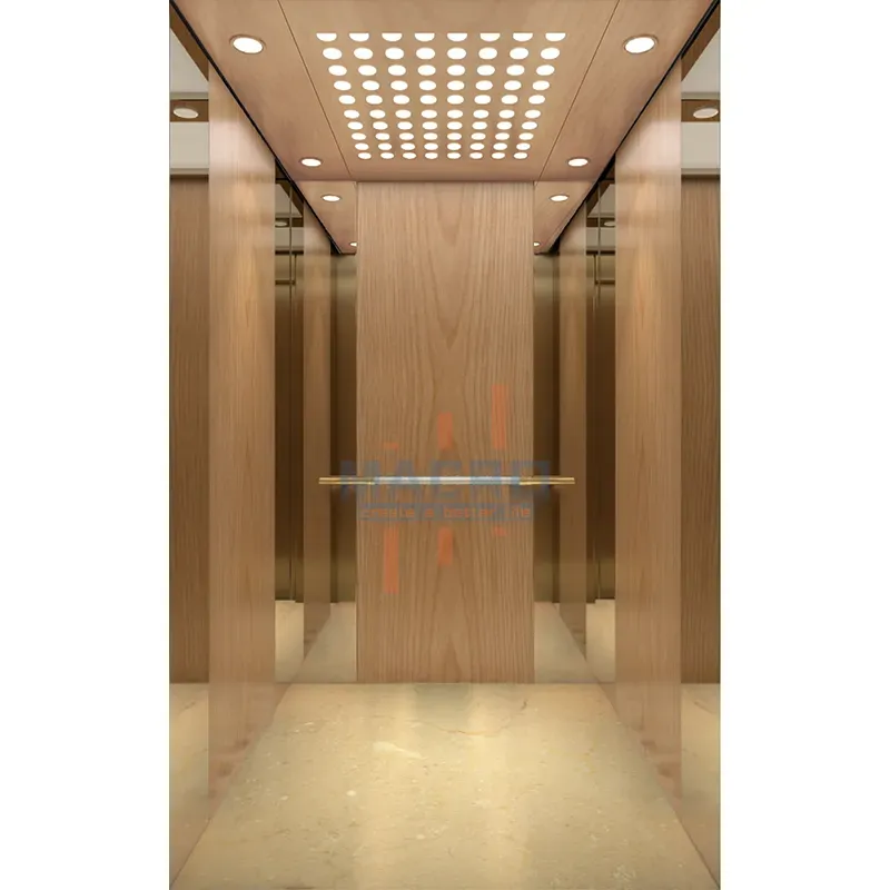 Residential Passenger Elevator with Customized CE EAC Manufacturer Funicular Solution