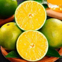Premium Fresh Rock Sugar Oranges from Yunnan