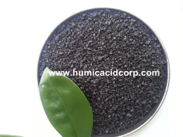 Humic acid for plants
