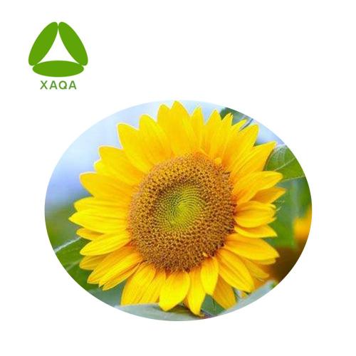 Soybean Peptide New Products Sunflower Plate Peptide Powder Price Manufactory