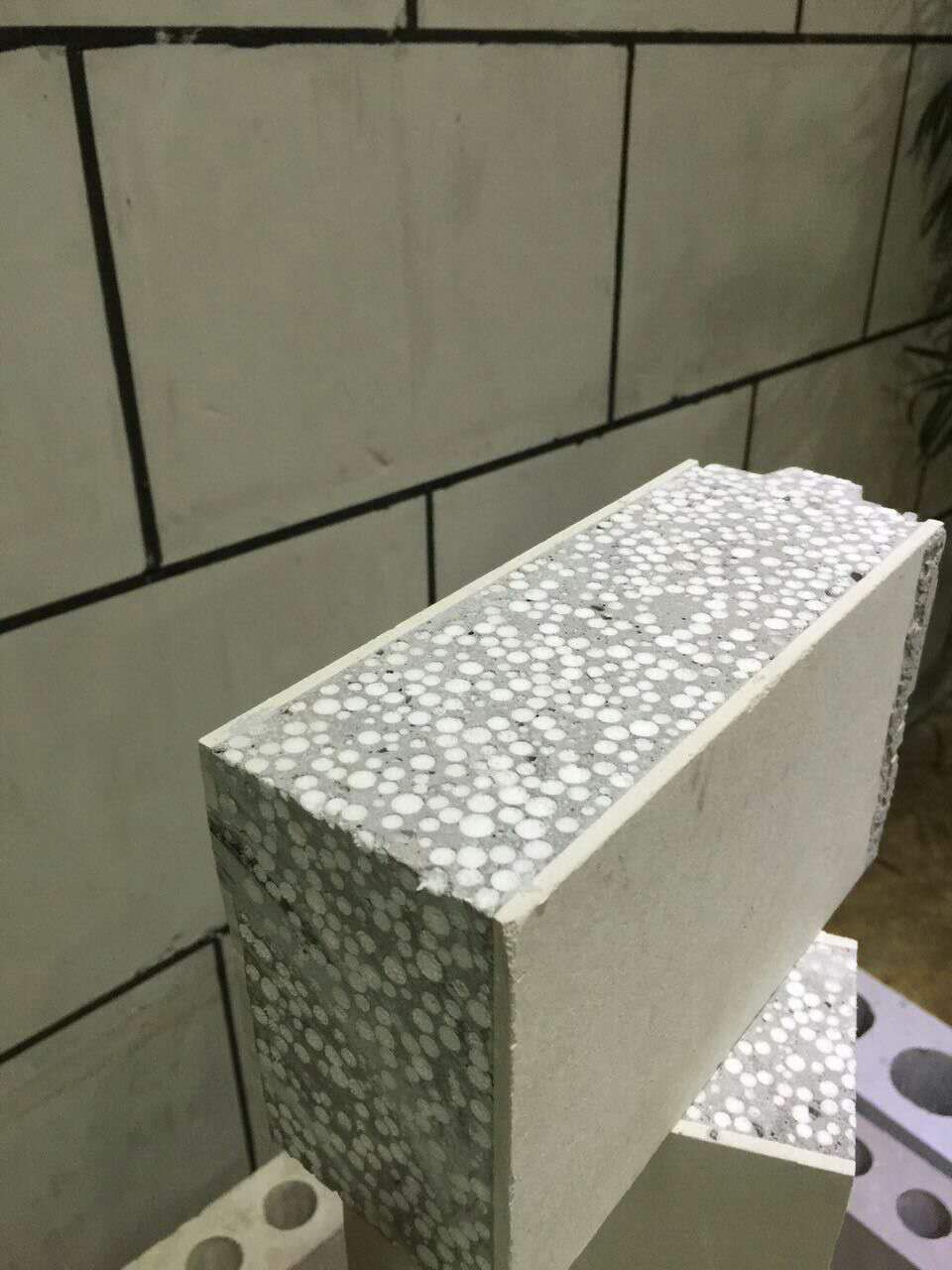 Foam Cement Sanwich Wall Panel