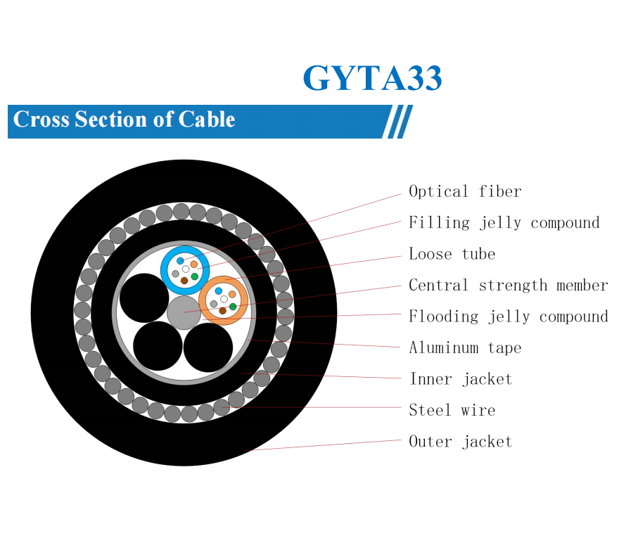 GYTA33 structure