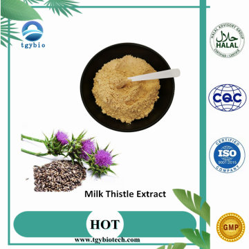 Air larut 80% susu thistle ekstrak serbuk silibinin