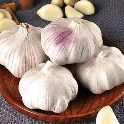 Organic Garlic for Kitchen and Wellness