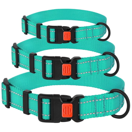 Reflective Dog Collar with Buckle