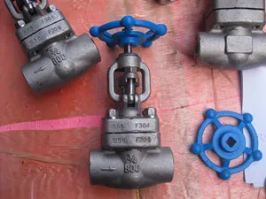 F304 Gate Valve, 3/4 Inch, Rating 800, SW