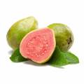 Guava Powder for Enhanced Nutrition