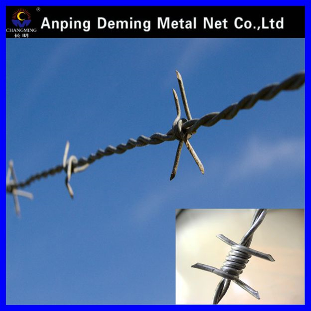 Cheap Double Steel Twist Barbed Wire