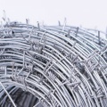 Hot dipped galvanized barbed wire for anti climb