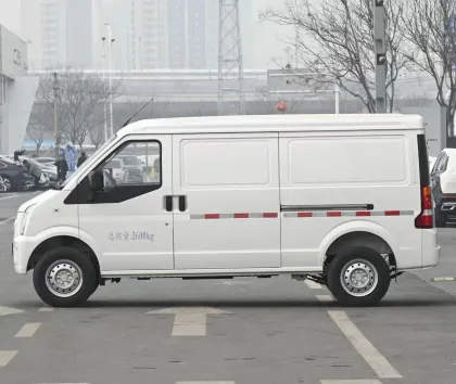 Ruiche EC35 Long Endurance Logistics Vehicle - Hot Sale New Energy Model