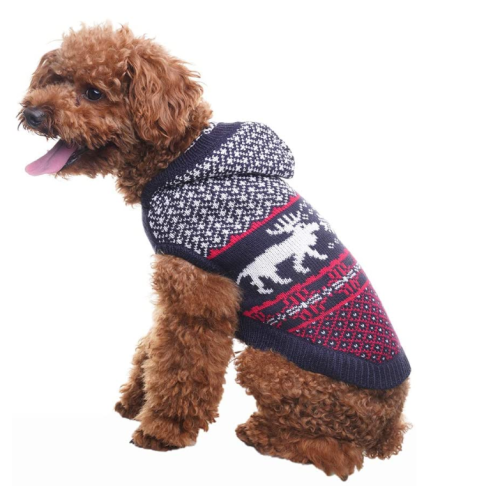 สุนัขจัมเปอร์เสื้อกันหนาวคริสต์มาส