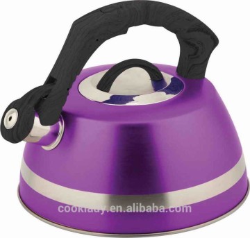 3.0 Litre stainless steel tea kettle