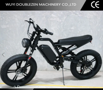 48V Powerful Fat Tire E-Bike with 750W Motor at a Cheap Price