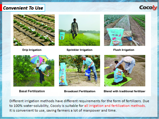 3Cocoly, the 1st granular water-soluble fertilizer in China