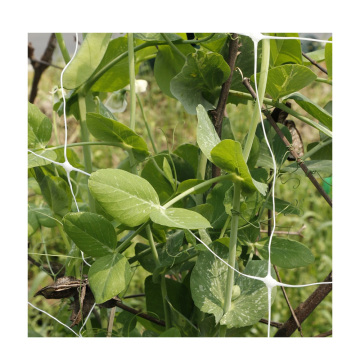 High-Strength Plastic Trellis Net for Agricultural Plant Support
