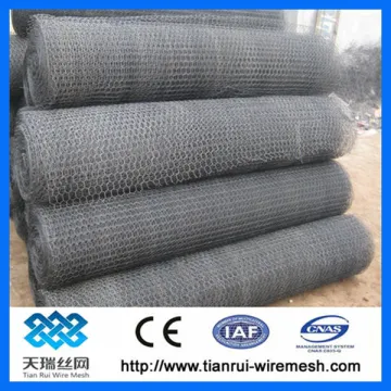 Hexagonal Chicken wire mesh