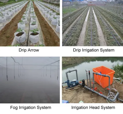 Drip Irrigation