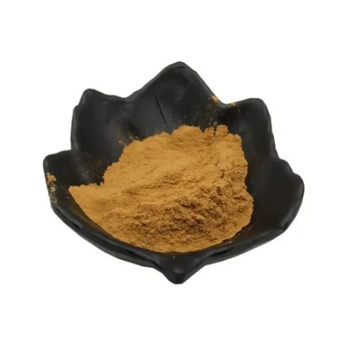 Natural Rhubarb Extract 98% Emodin Powder 518-82-1