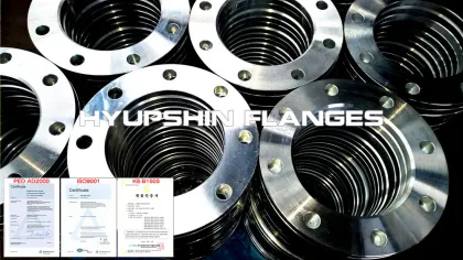 AWWA C207 CLD E RING BLIND A105 Flanges