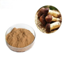 Agaricus Blazei gombakivonat por