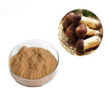 Agaricus Blazei Mushroom Extract Powder