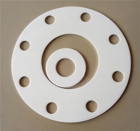 PTFE gasket-4