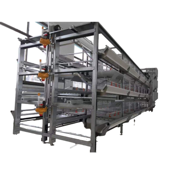Sistema automático de gaiola de bateria de frango para fazendas de aves na Nigéria, Quênia e Guiné