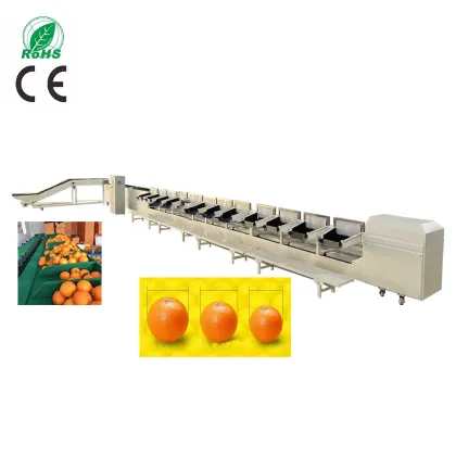 Fruit and Vegetable Grading Sorting Machine with Inspection Conveyor