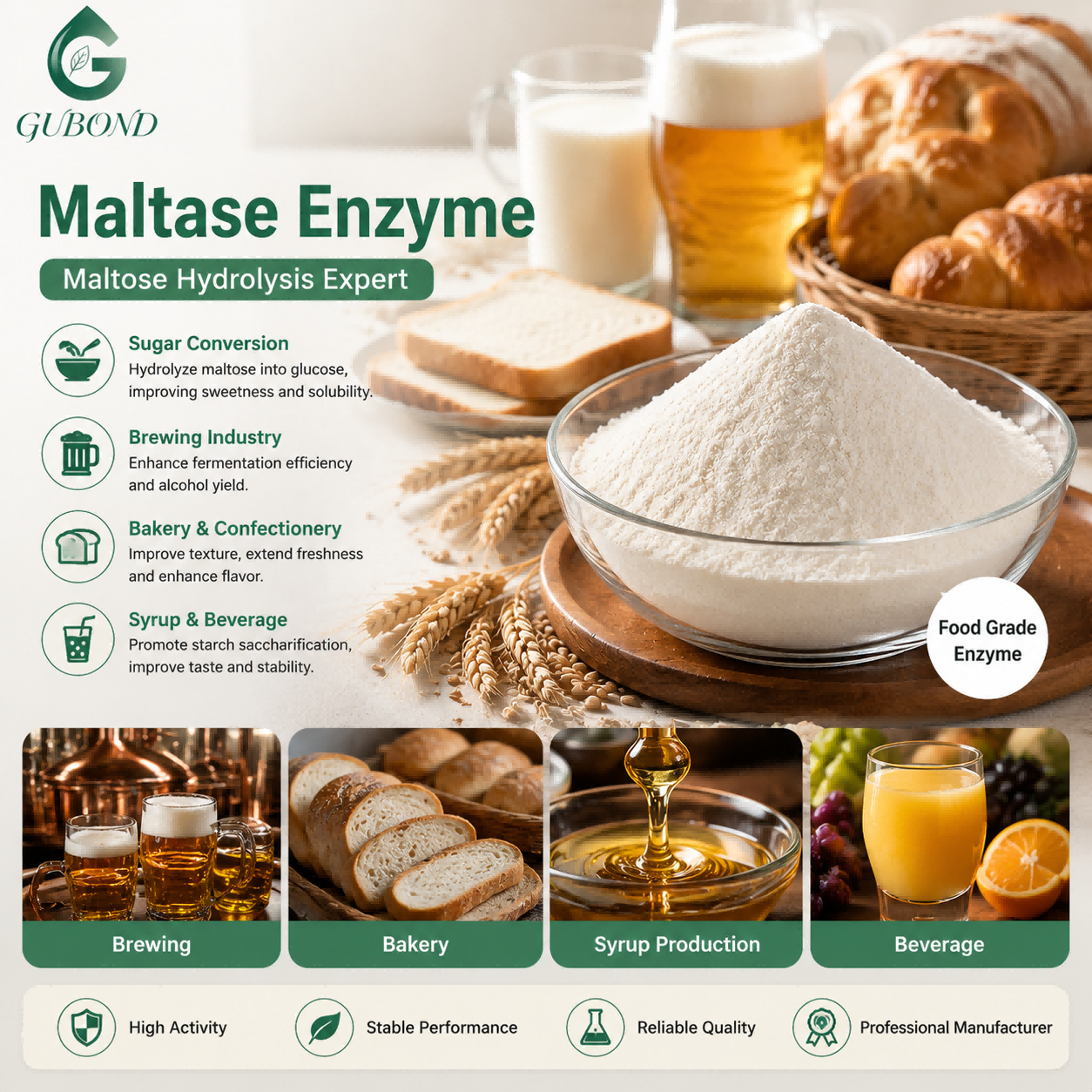 Maltase (3)