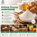 Enzima maltasa Hidrólisis de maltosa Elaboración de cerveza Panadería Procesamiento de almidón