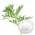 Suministro 100% Natural Artemisia Annua Extracto 99% Artemisinina