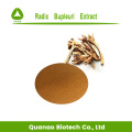 Bahan-bahan anti-radang Herba Chai Hu Extract Powder