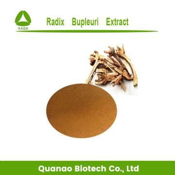 Bahan-bahan anti-radang Herba Chai Hu Extract Powder