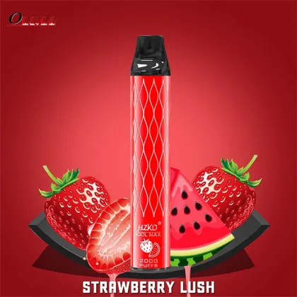 HZKO IDOL MAX 2000 Blueberry mint