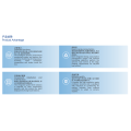 Automotive charging and discharging system