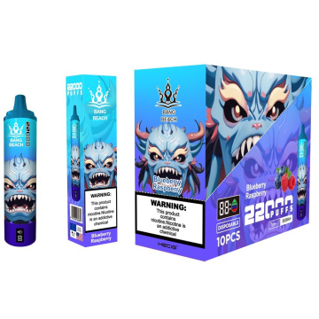 Bang Beach 22000 Puffs Disposable Vape Wholesale France