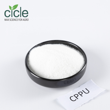 Composto Auxin de Forclorfenurão CPPU para Melhoramento de Culturas