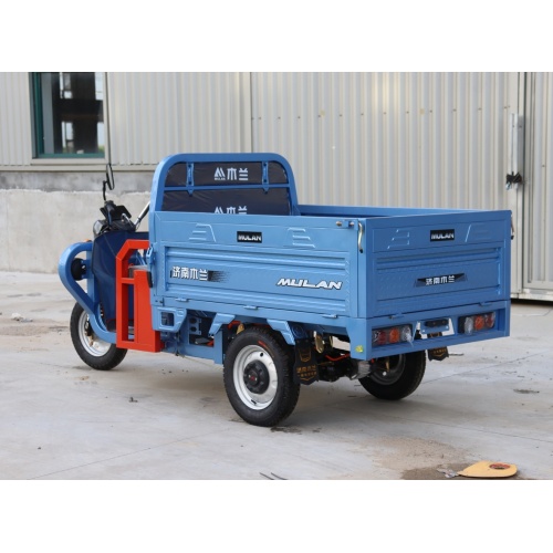 Three Wheels Vehicle For Express Industry