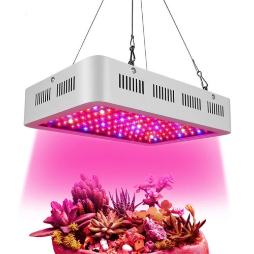 High quality 2000W growing lamp for indoor plants