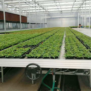 MYXL Greenhouse Ebb and Flow Rolling Benches