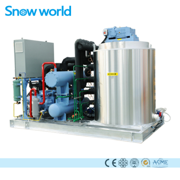 Machine à glace en paillettes Snow world 10T